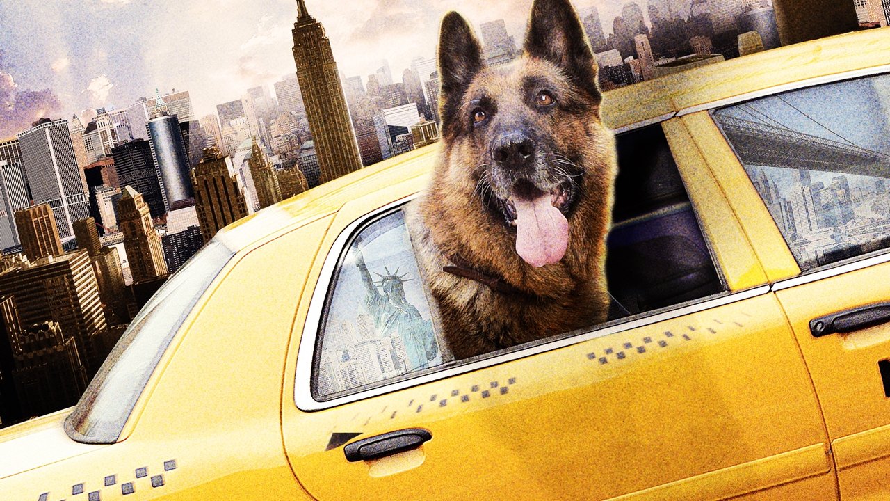 Cool Dog - Rin Tin Tin a New York