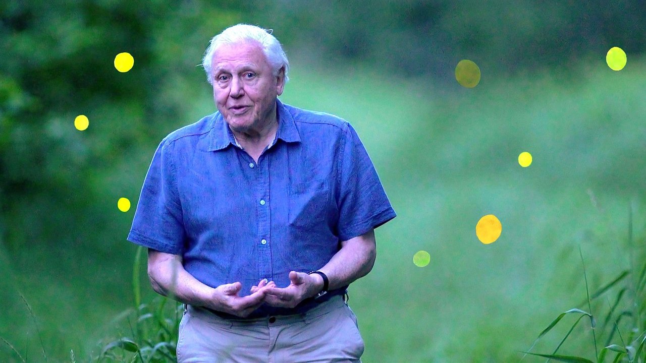 David Attenborough - Luci sul pianeta