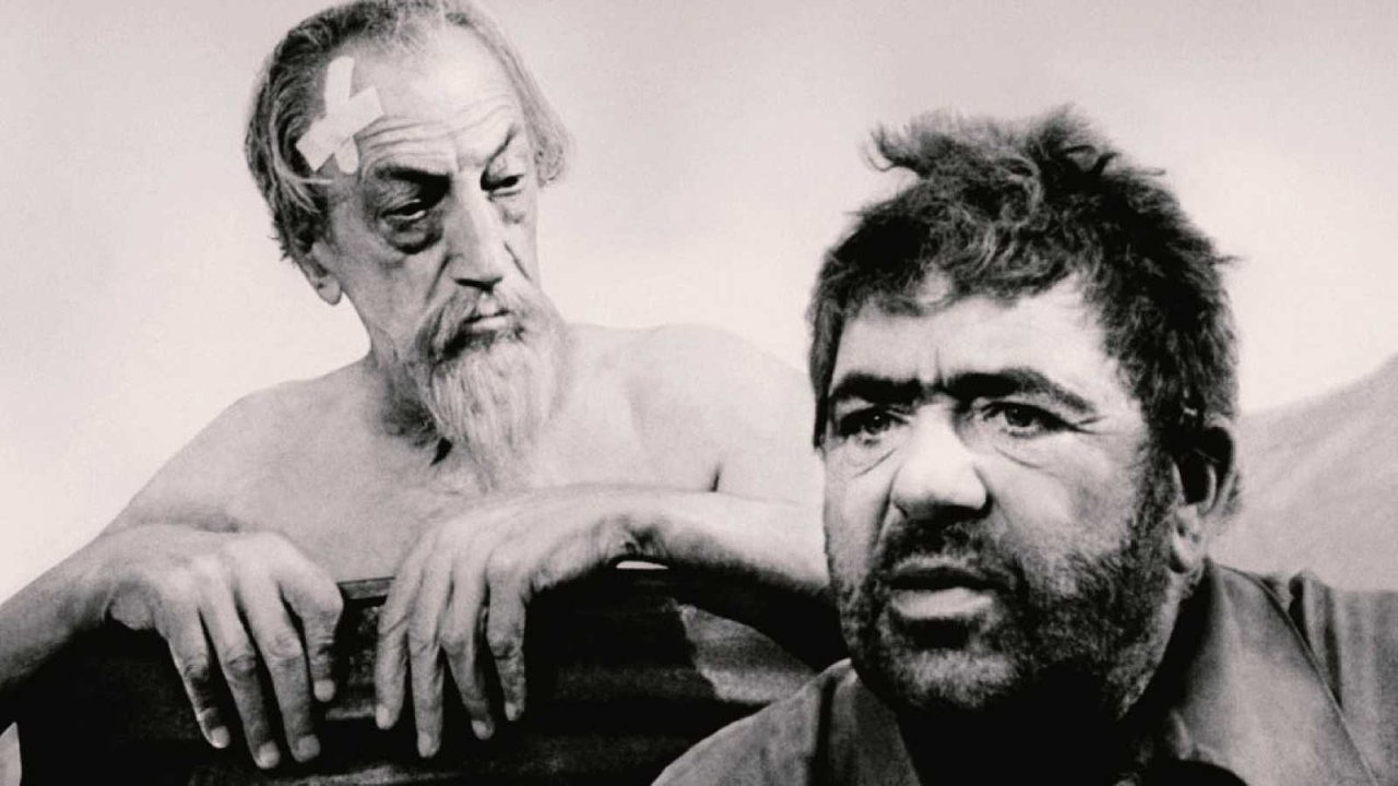 Don Chisciotte