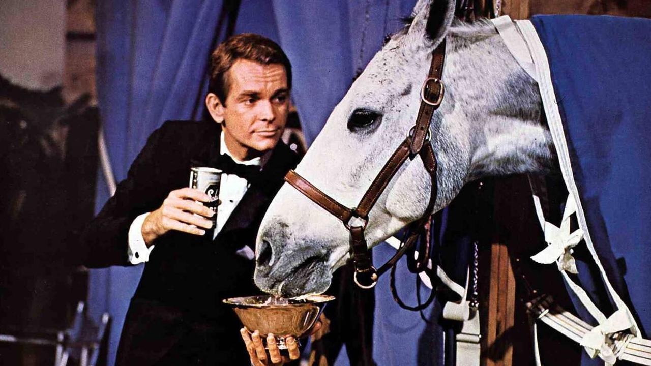 Il cavallo in doppiopetto