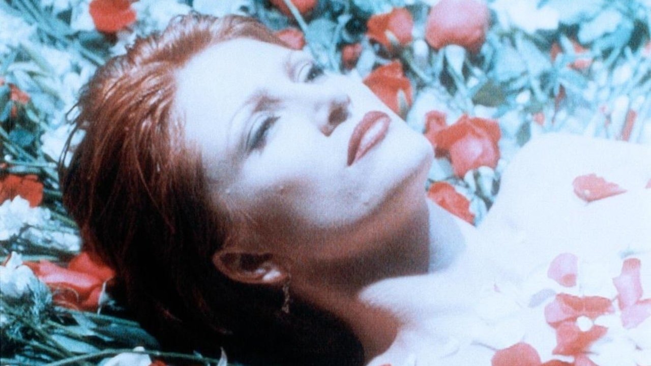 Il fiore del silenzio