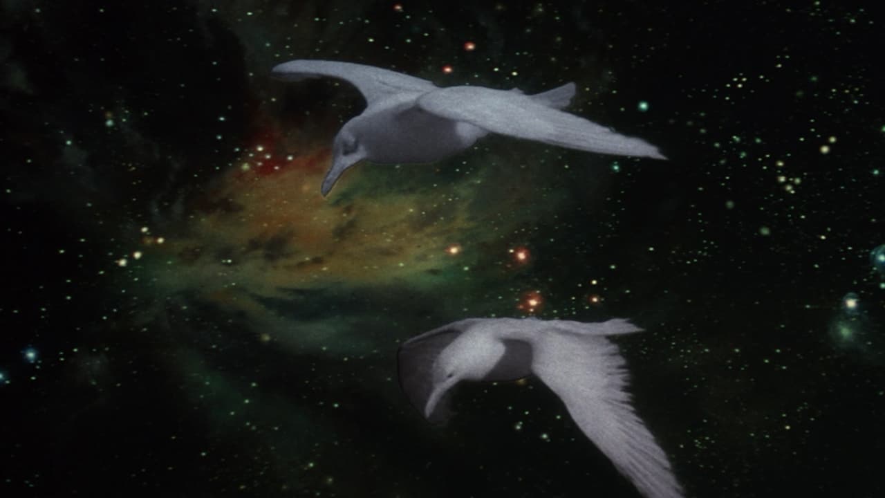 Il gabbiano Jonathan Livingston