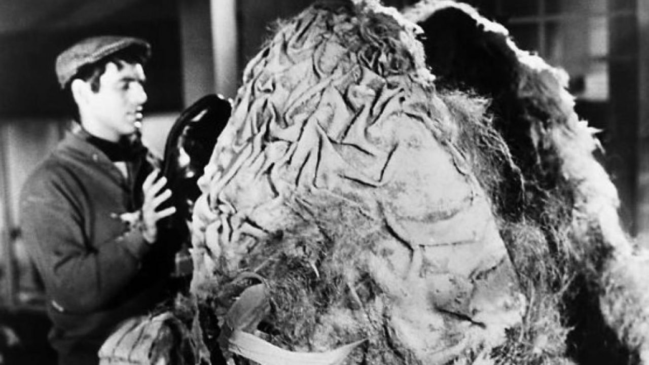 La piccola bottega degli orrori