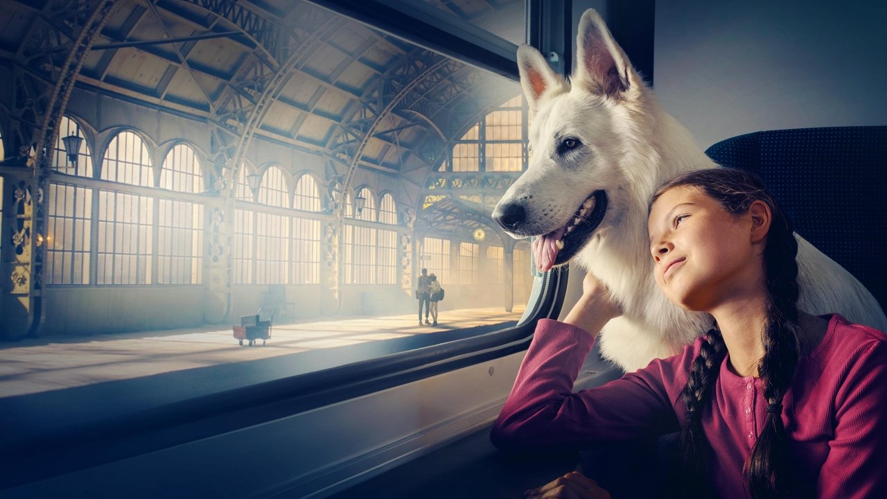 Lampo il cane viaggiatore