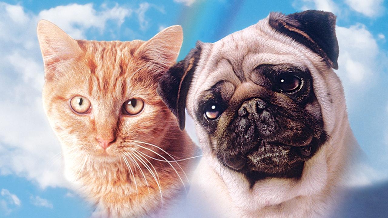 Le avventure di Milo e Otis