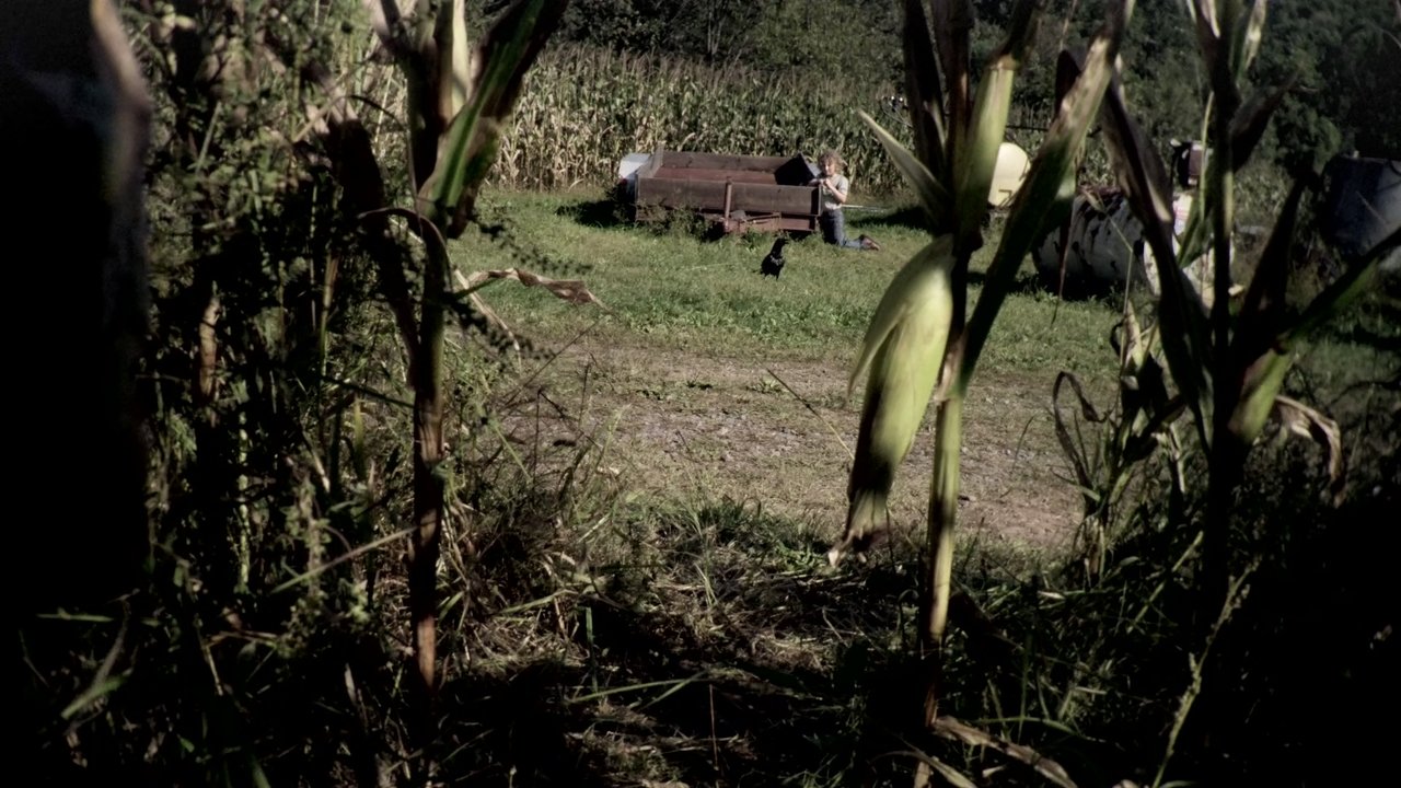 Le paludi della morte - Texas Killing Fields