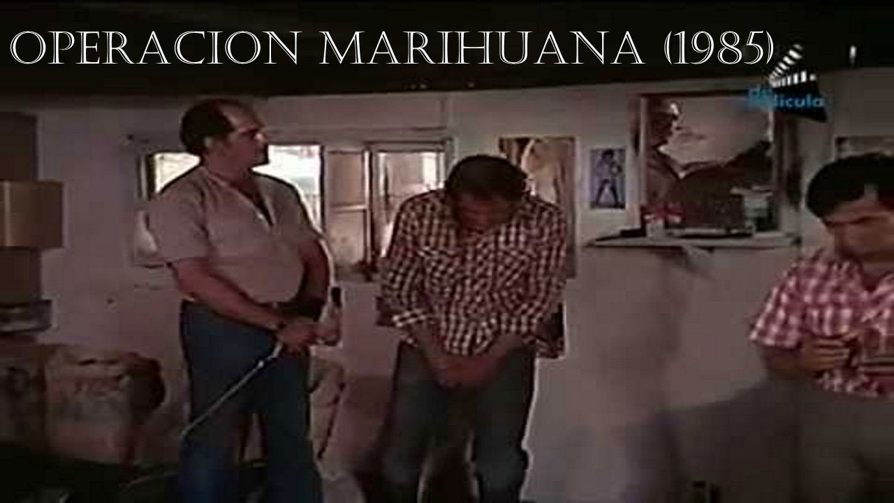 Mission - Marihuana