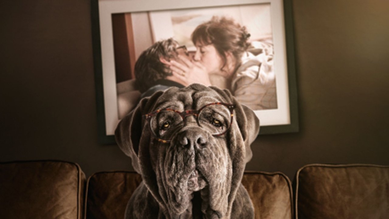 My Dog Stupid - Il mio cane Stupido
