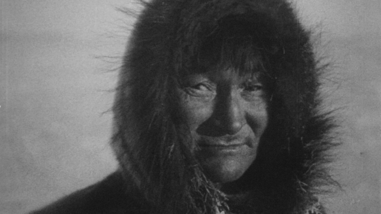 Nanuk l'eschimese