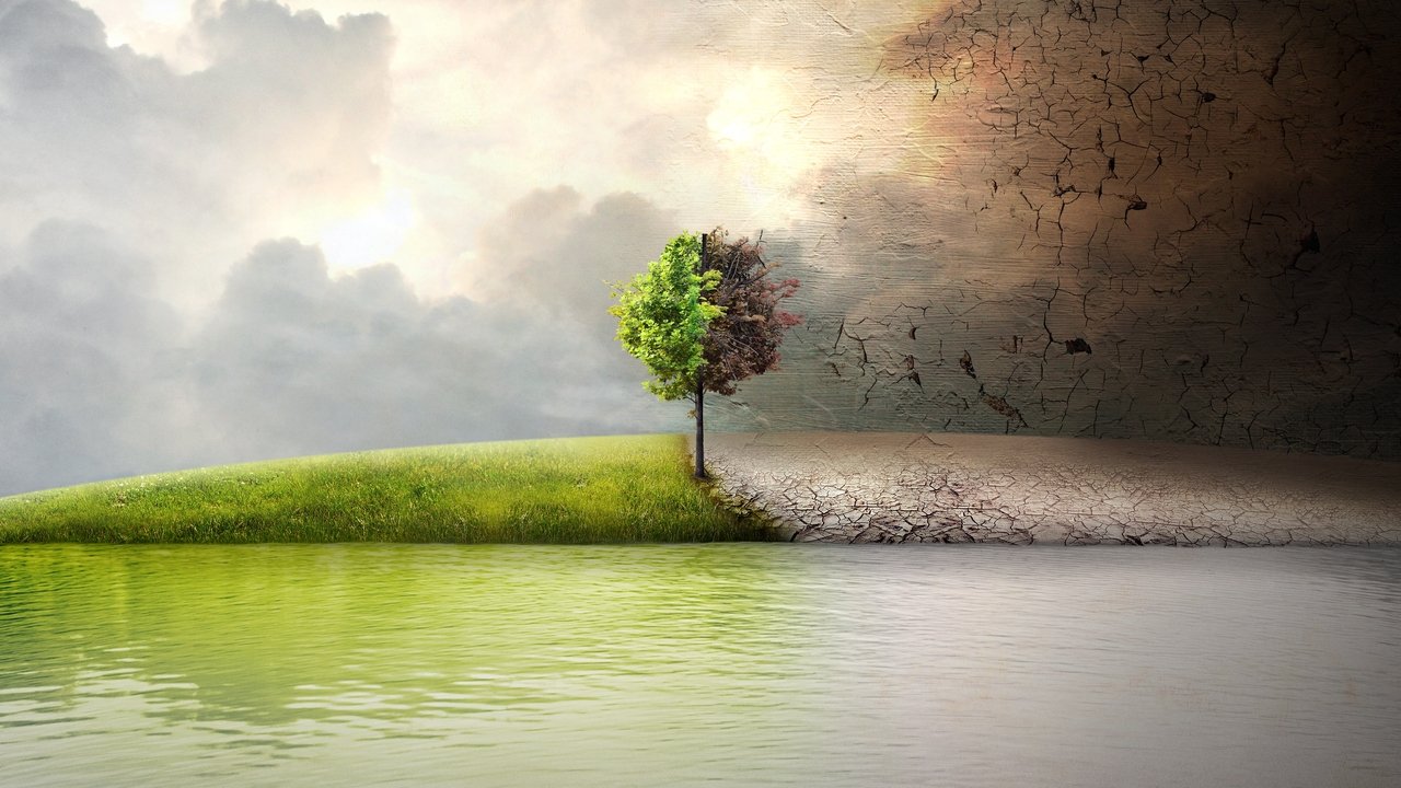Punto di non ritorno - Before the Flood