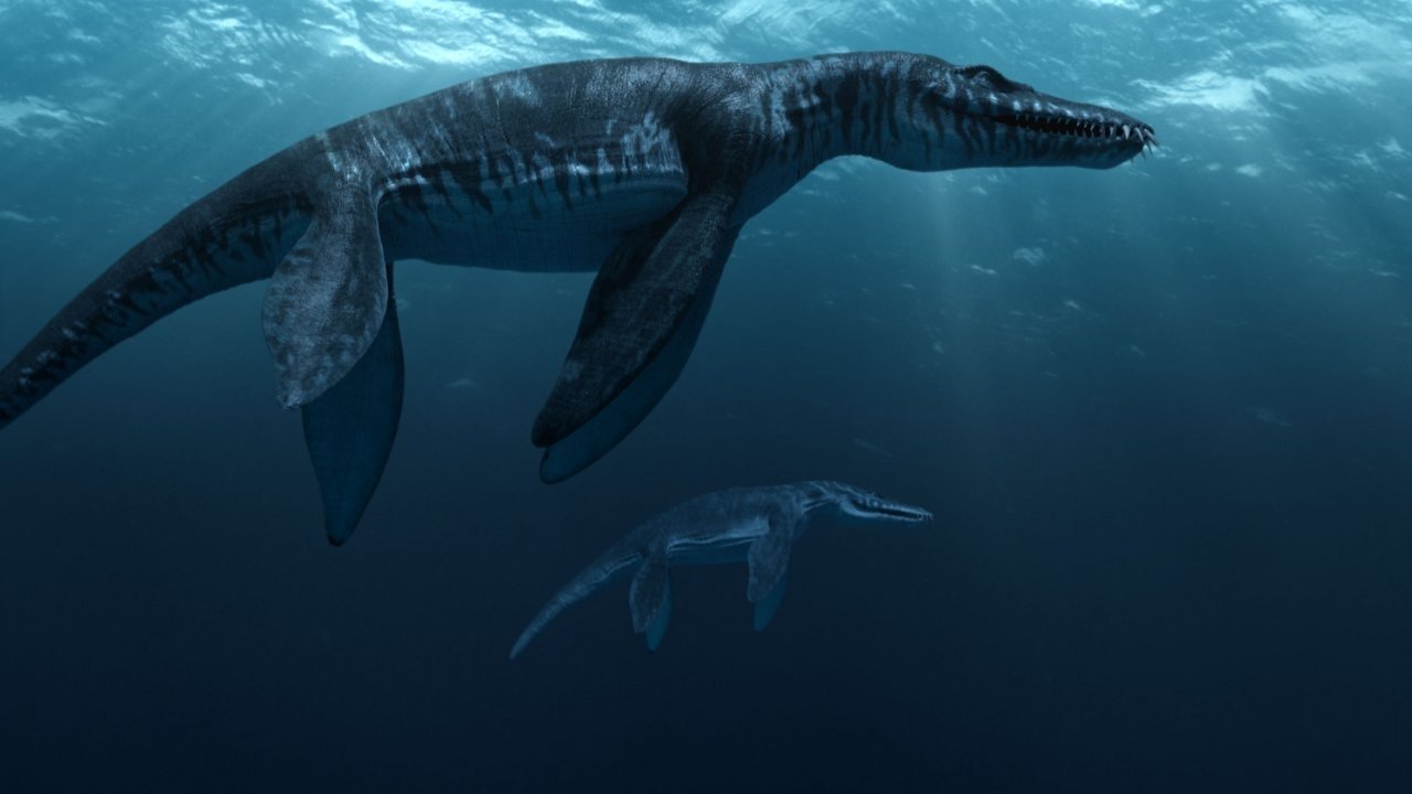 Sea Rex - I Dinosauri degli abissi marini