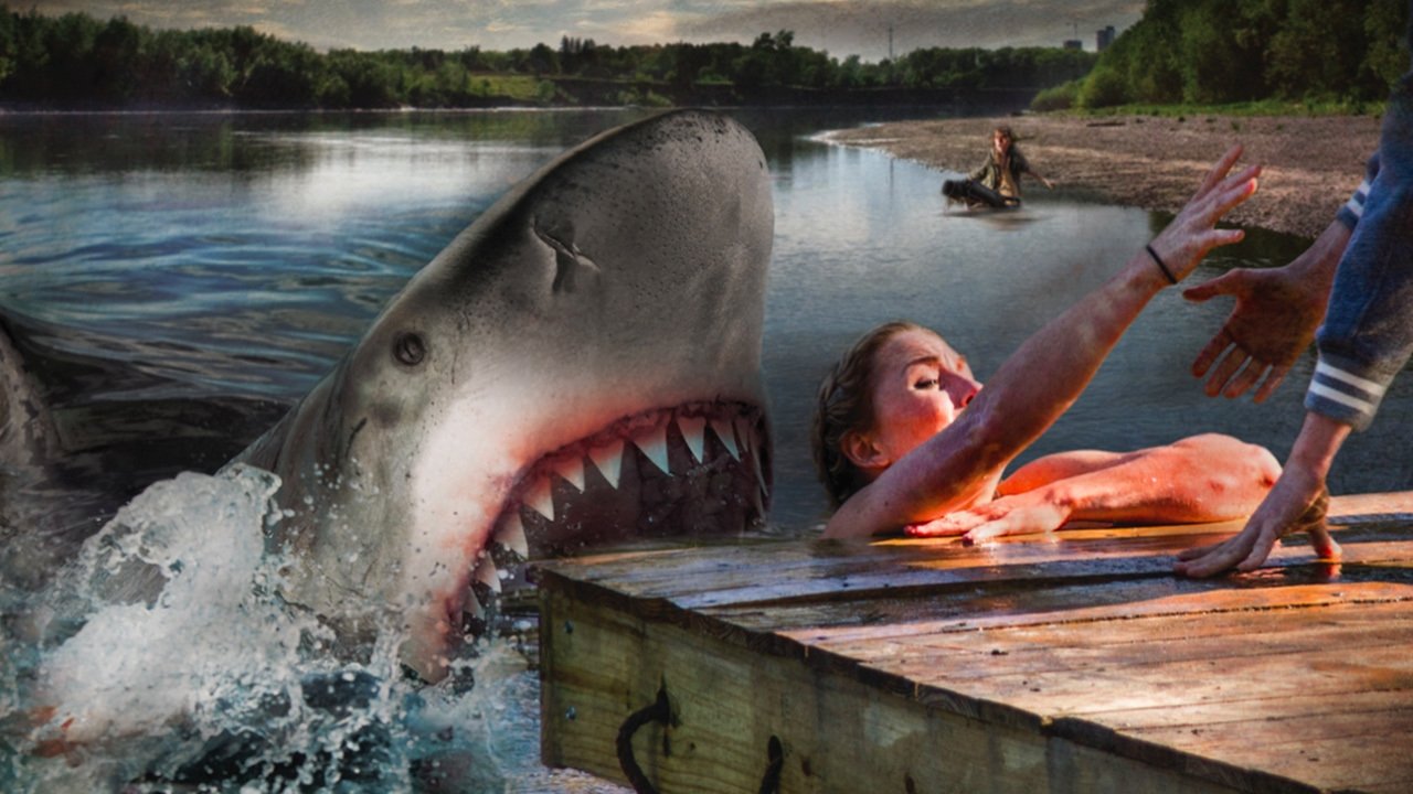 Summer Shark Attack