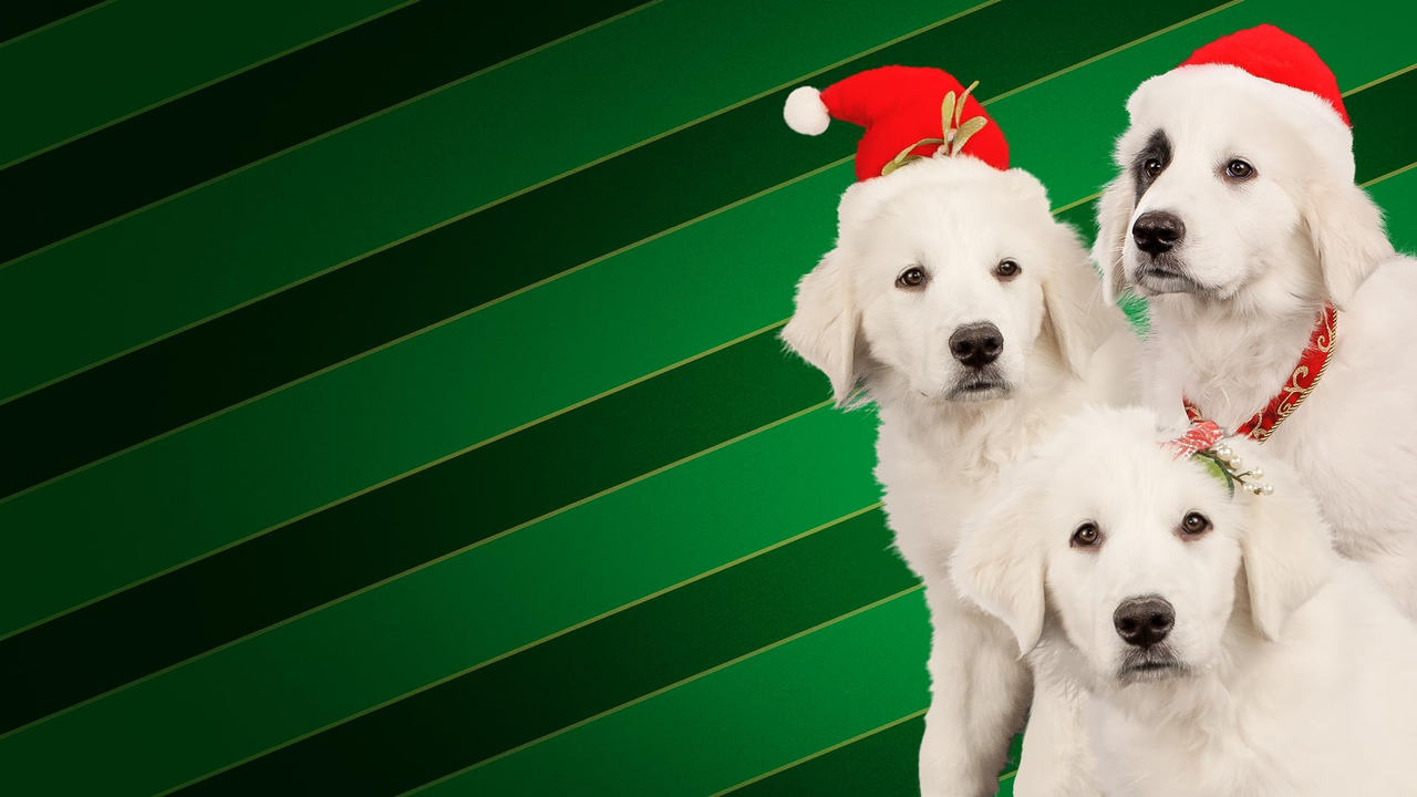 Supercuccioli a Natale