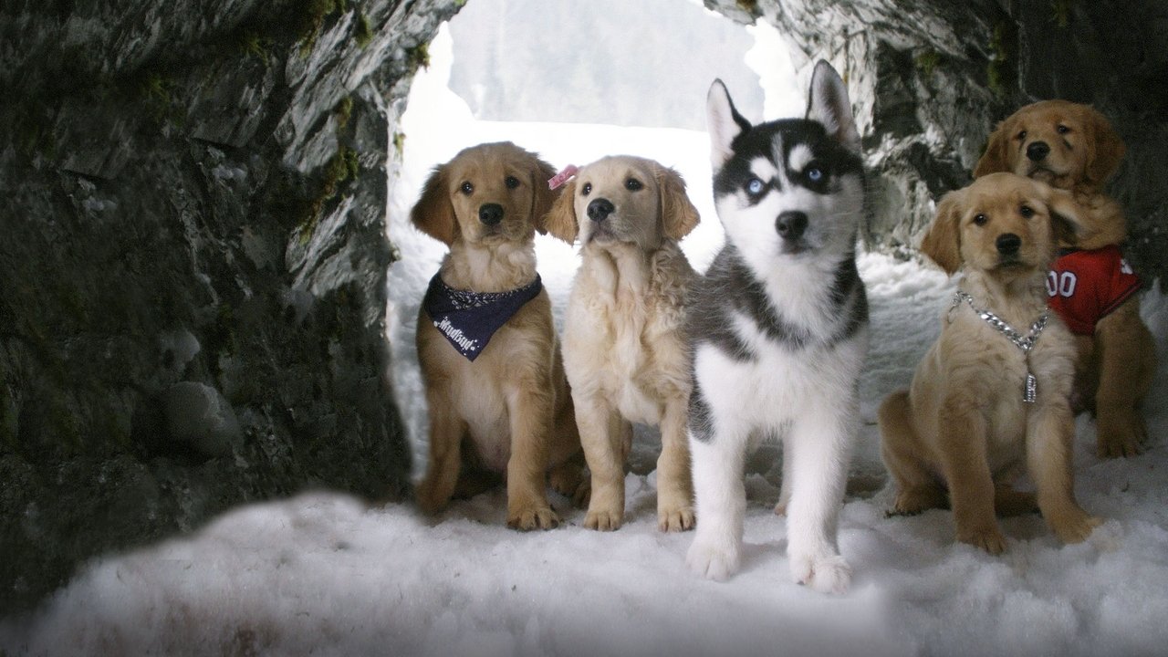 Supercuccioli sulla neve