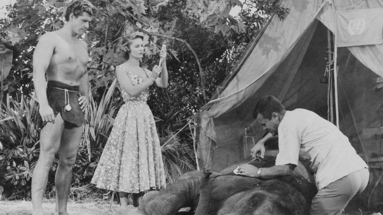 Tarzan nella jungla proibita