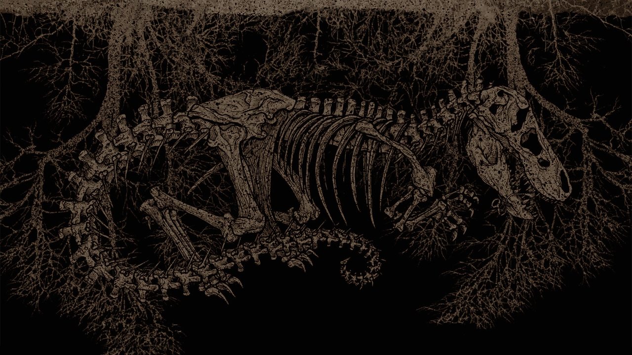 Tirannosauro