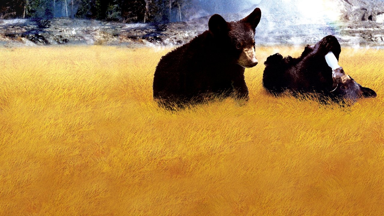 Tuffy e Toffy orsetti mattacchioni