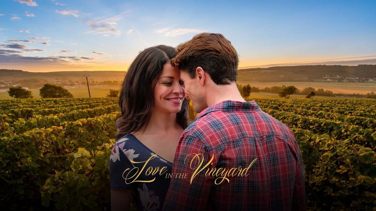 Vino, donne e canzoni