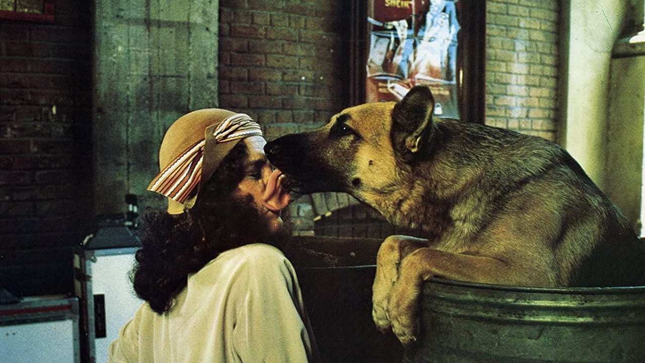 Won Ton Ton - Il cane che salvò Hollywood