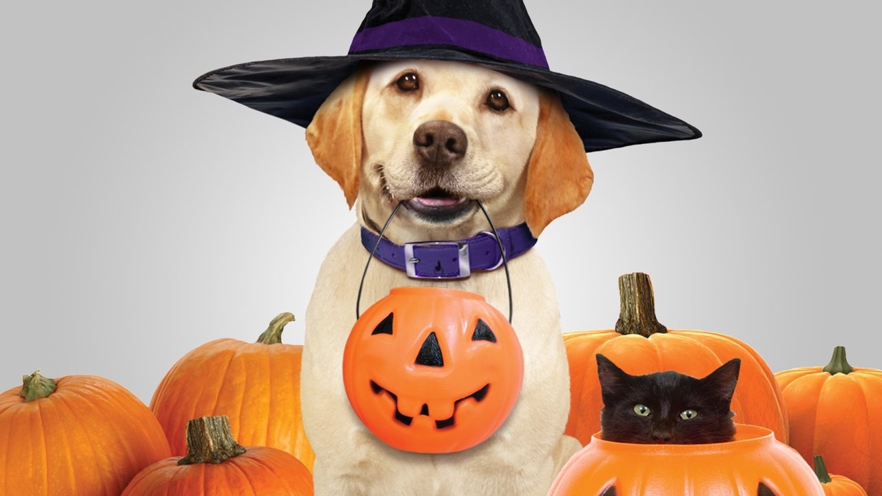 Zeus alla conquista di Halloween