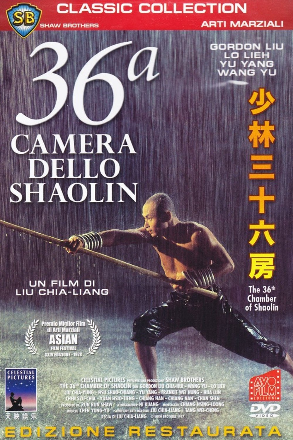 Locandina di 36ª camera dello Shaolin
