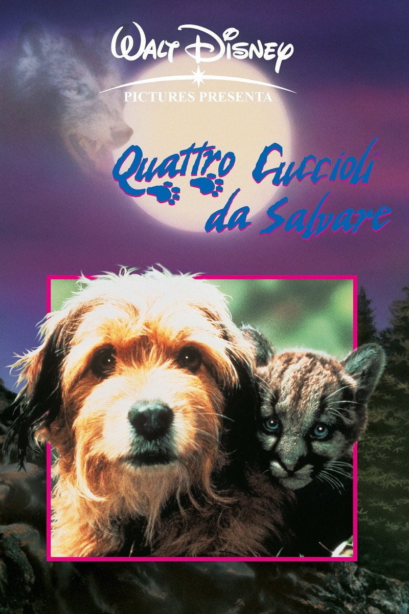 Locandina di 4 cuccioli da salvare