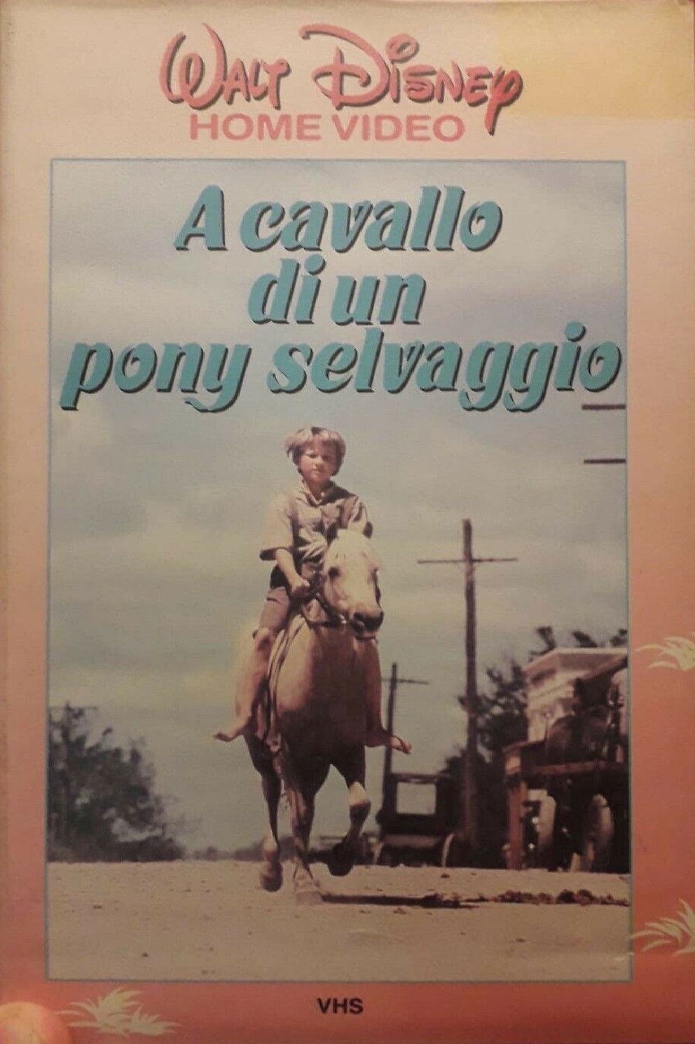 Locandina di A Cavallo di un Pony Selvaggio