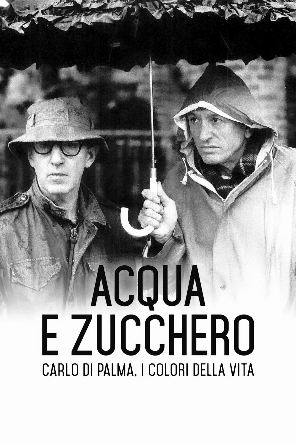 Locandina di Acqua e zucchero – Carlo Di Palma: i colori della vita