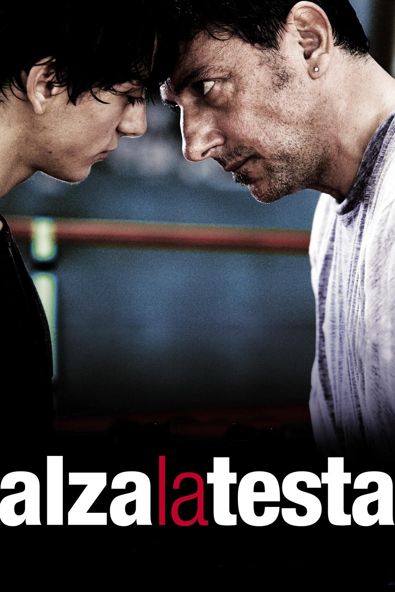 Locandina di Alza la testa
