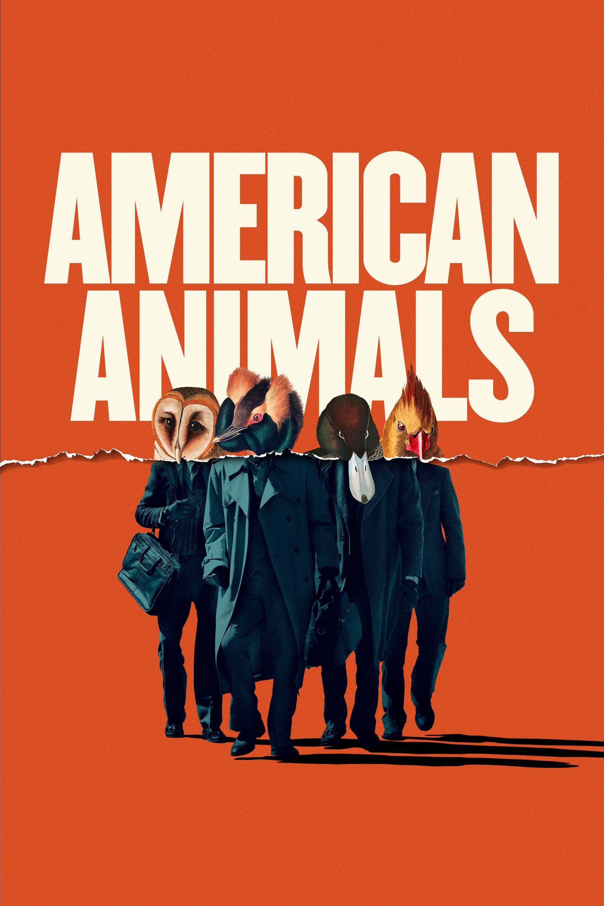 Locandina di American Animals