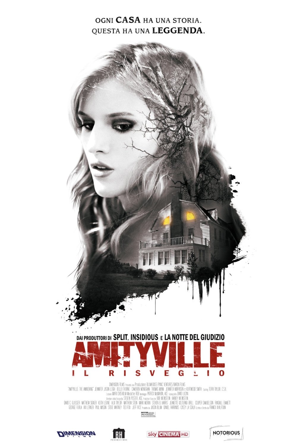 Locandina di Amityville : Il risveglio