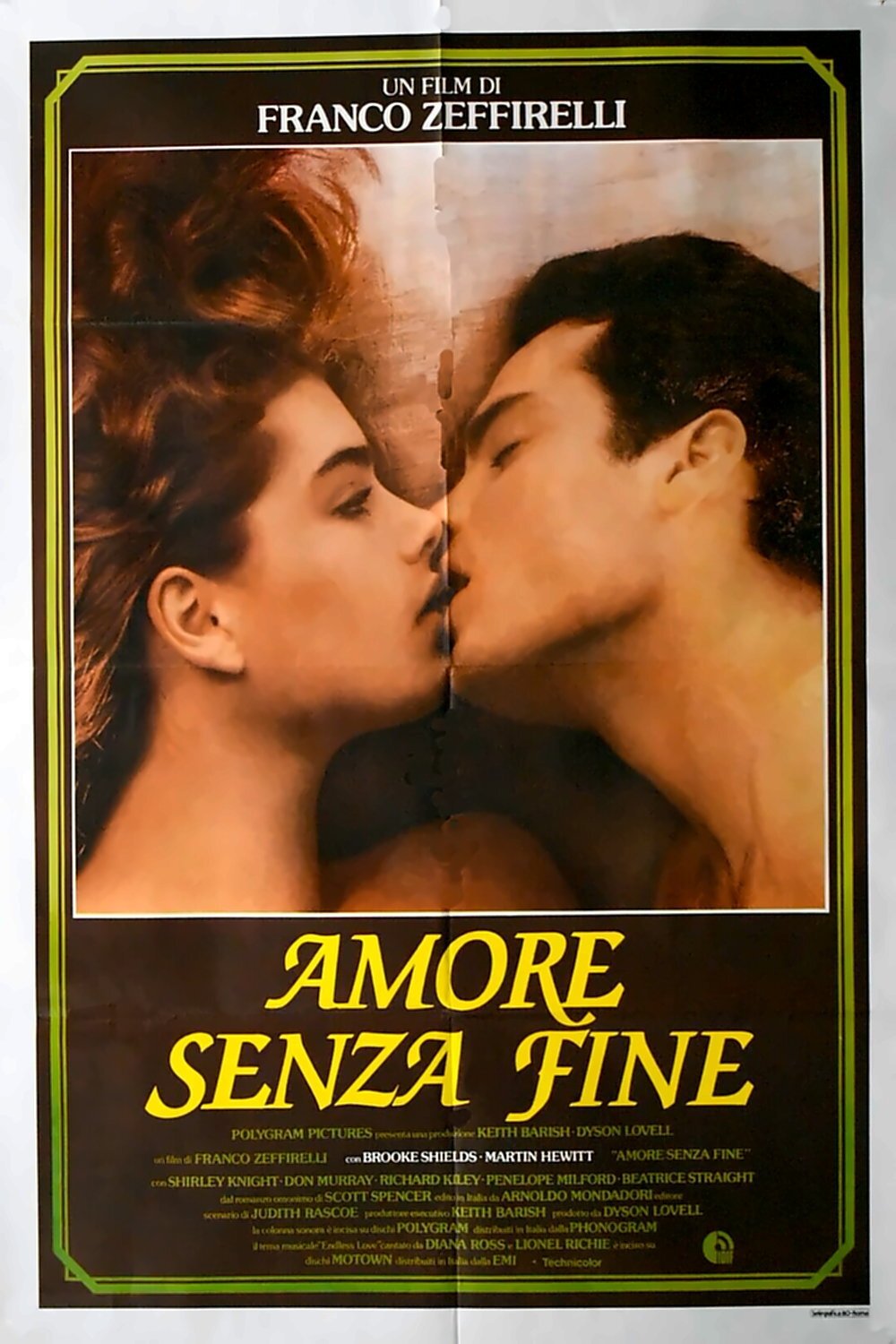 Locandina di Amore senza fine