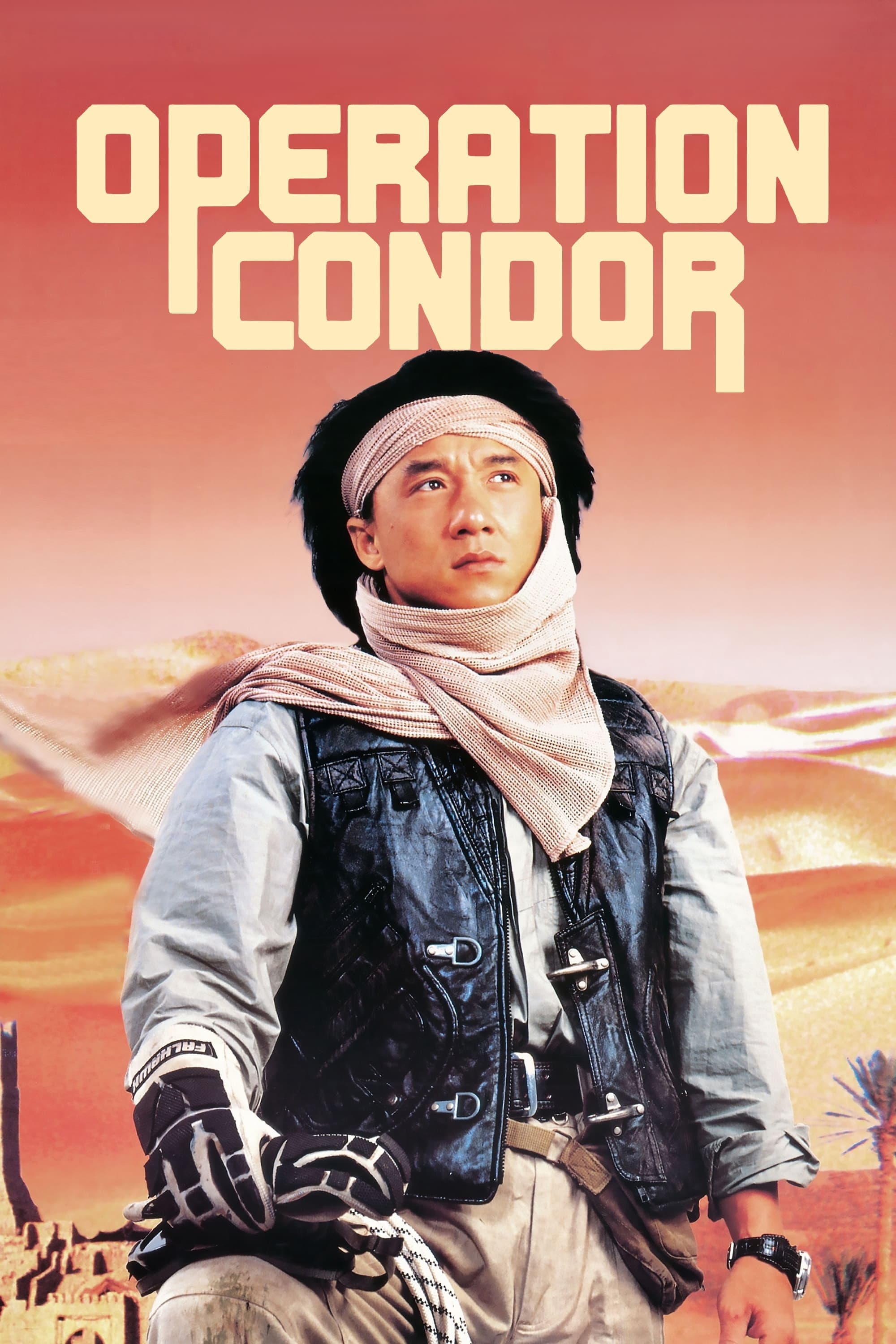 Locandina di Armour of God II - Operation Condor