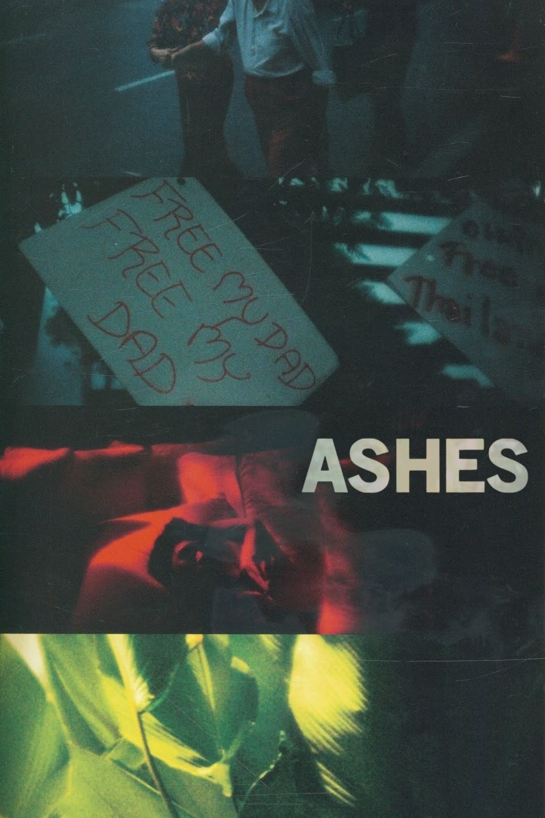 Locandina di Ashes