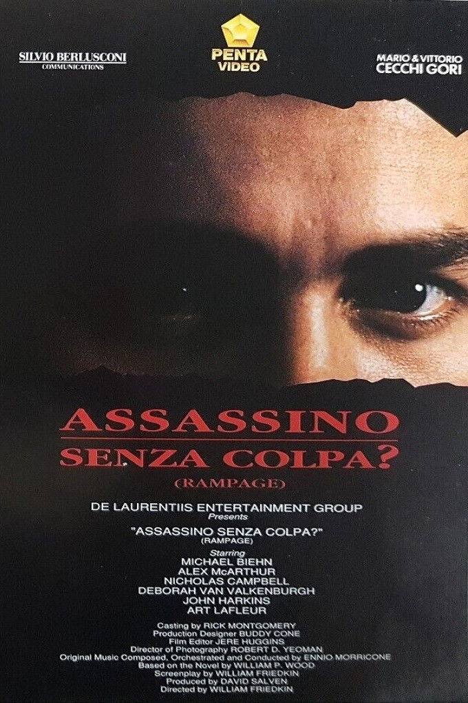 Locandina di Assassino senza colpa?
