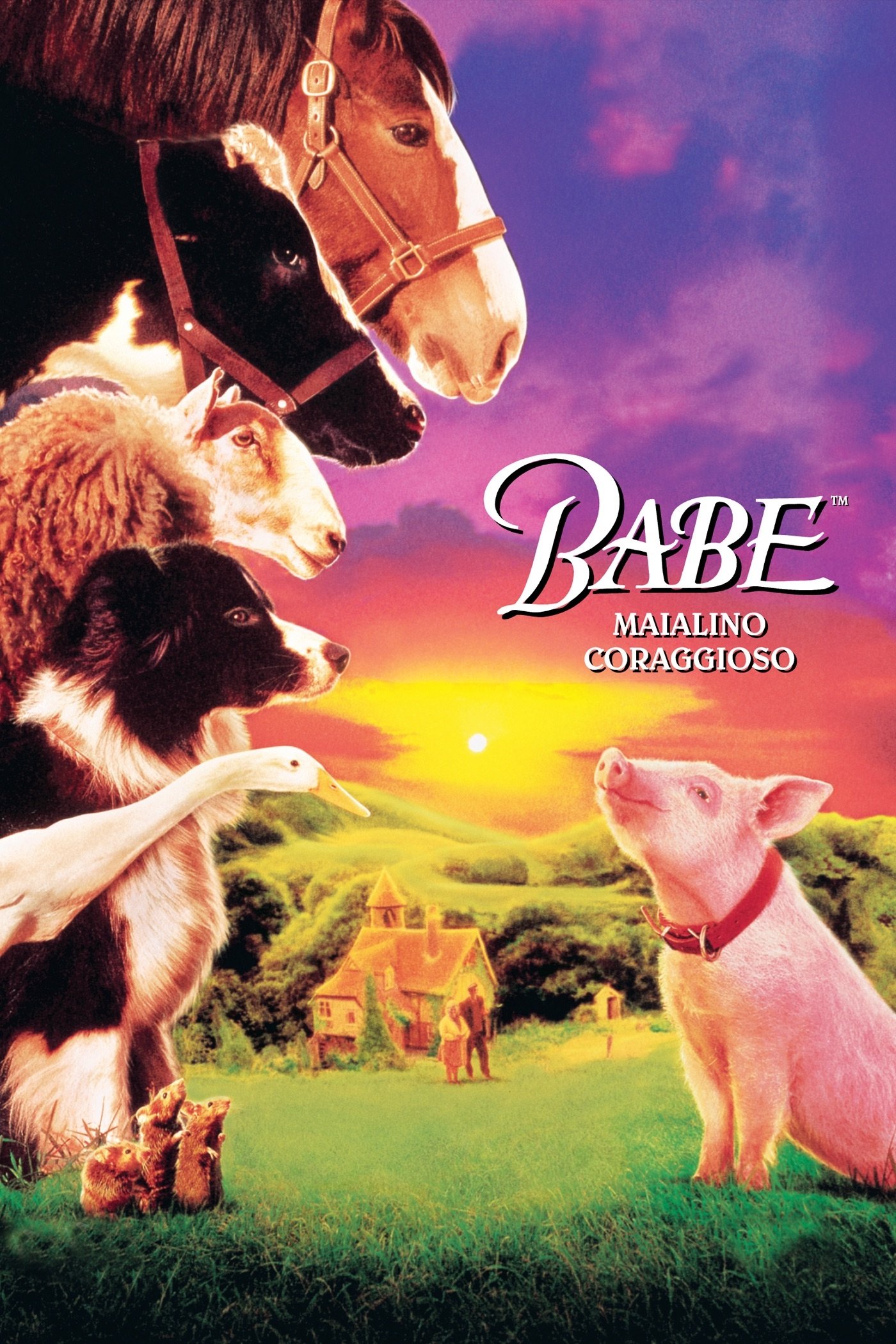 Locandina di Babe - Maialino coraggioso