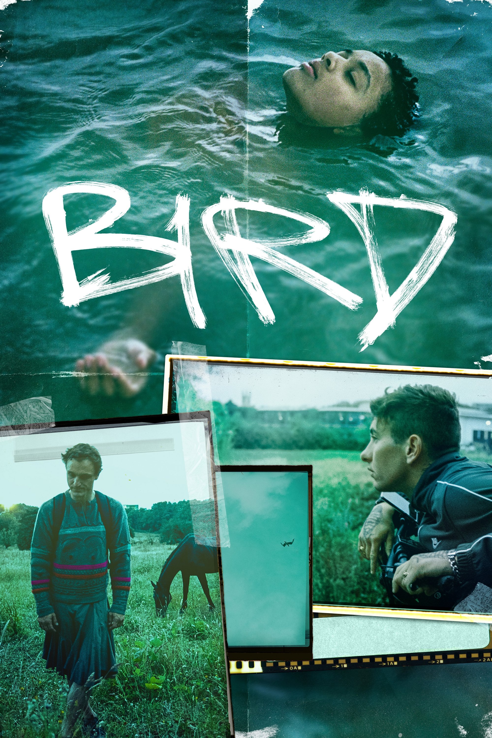 Locandina di Bird