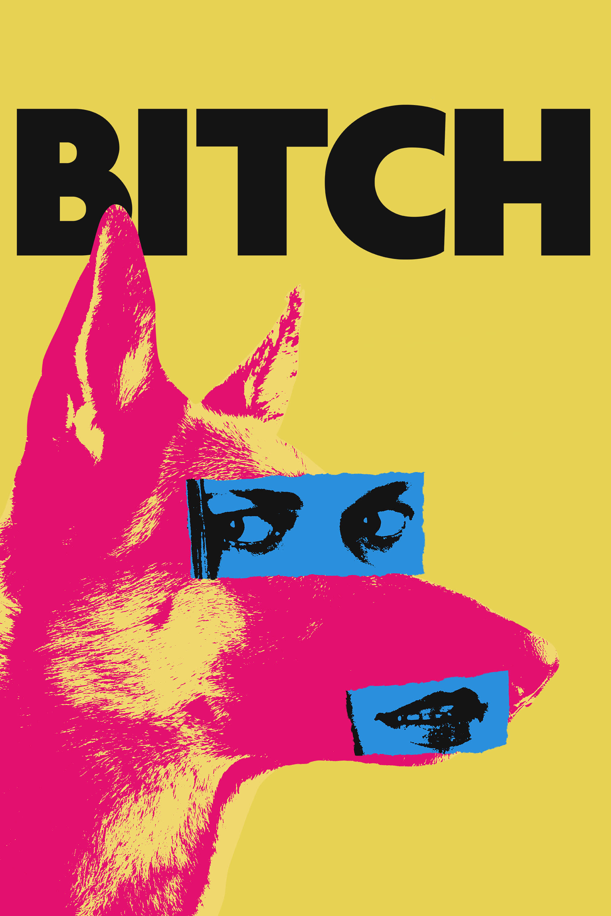 Locandina di Bitch