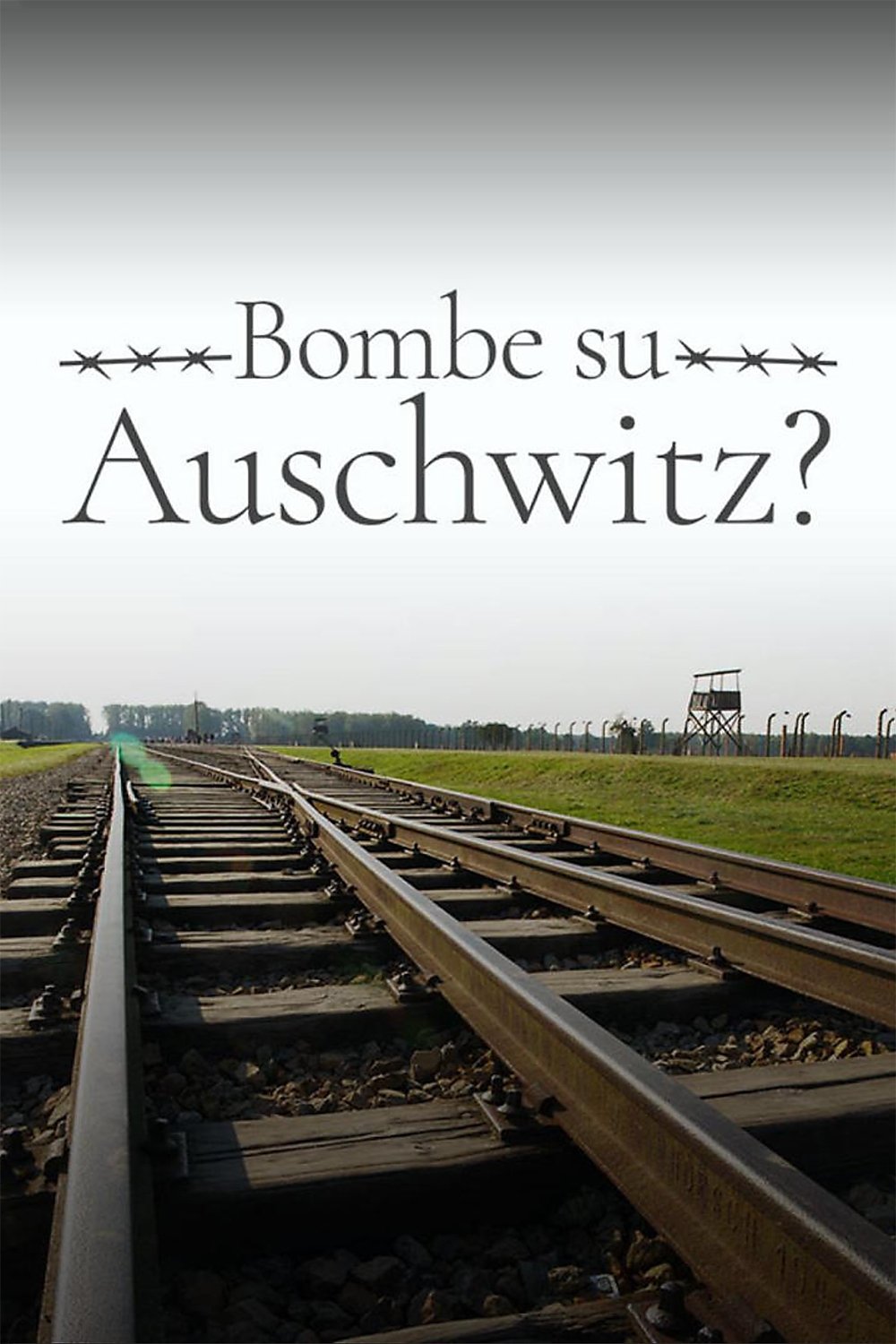 Locandina di Bombe su Auschwitz?