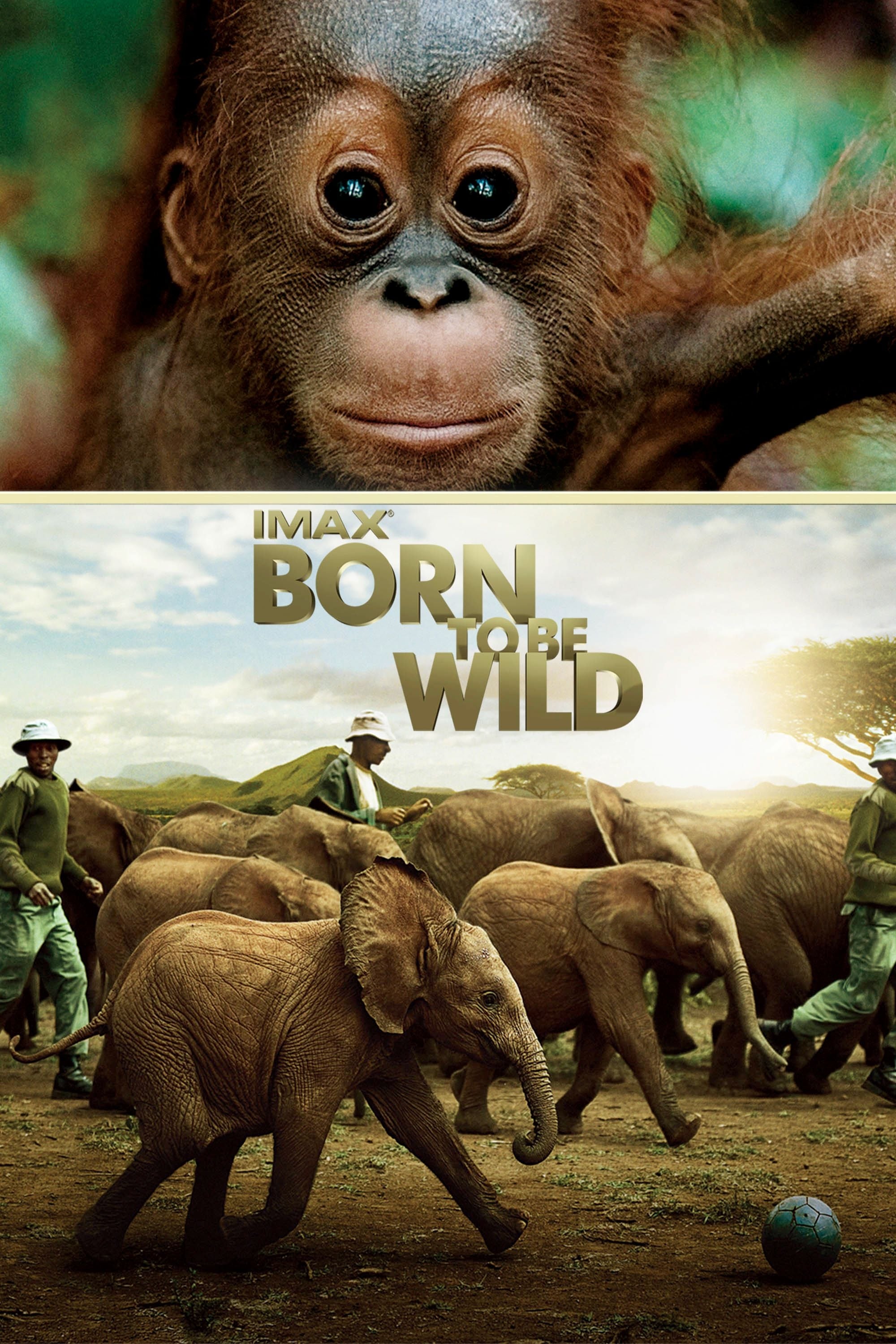 Locandina di Born to Be Wild