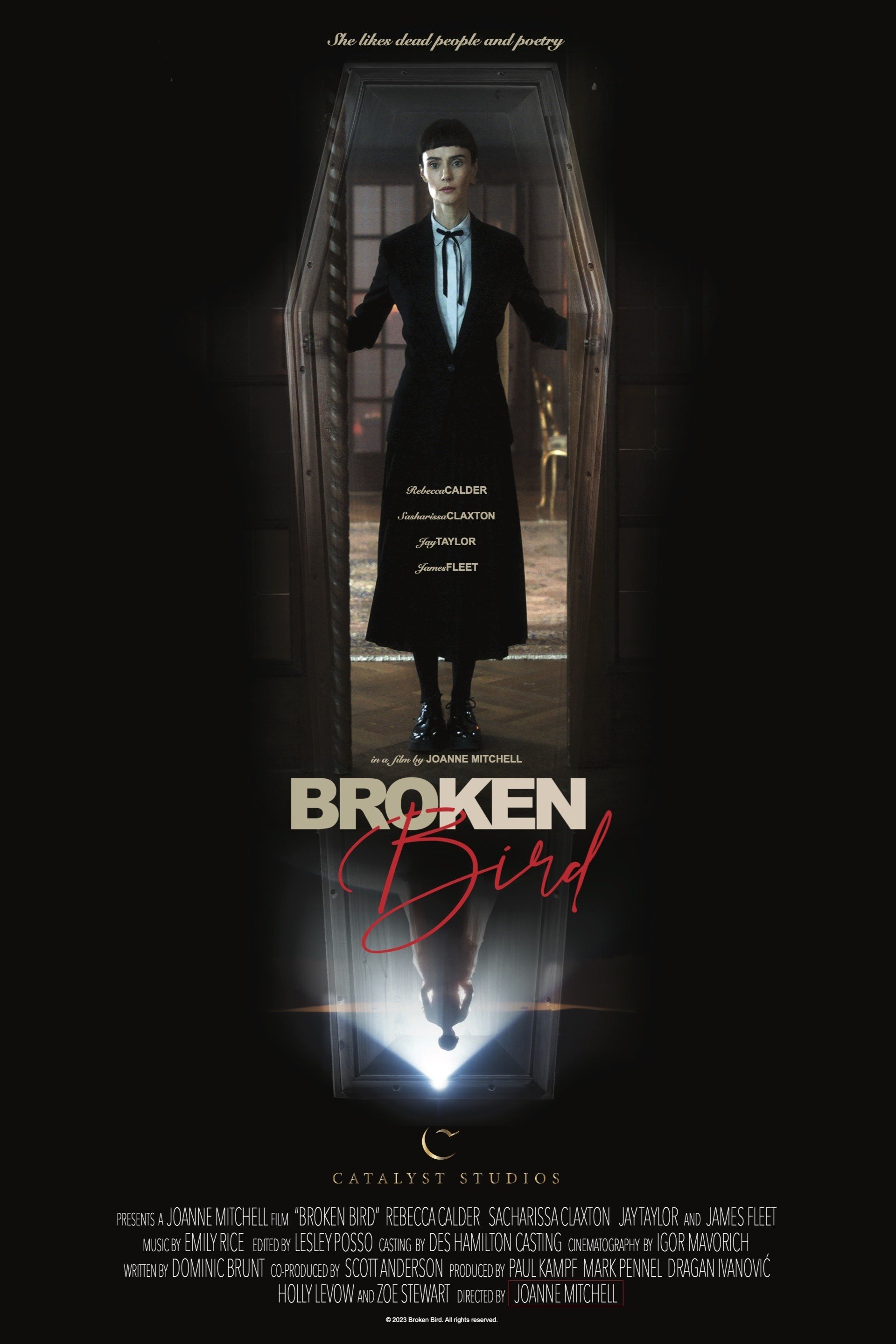 Locandina di Broken Bird