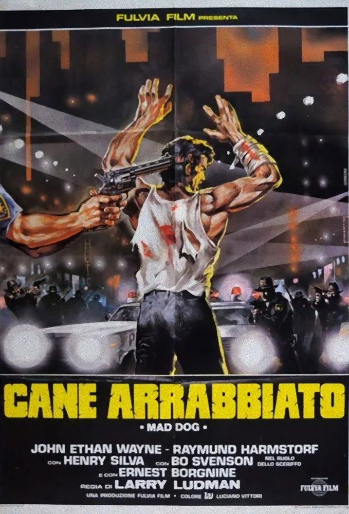 Locandina di Cane arrabbiato