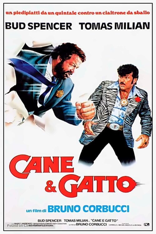Locandina di Cane e gatto