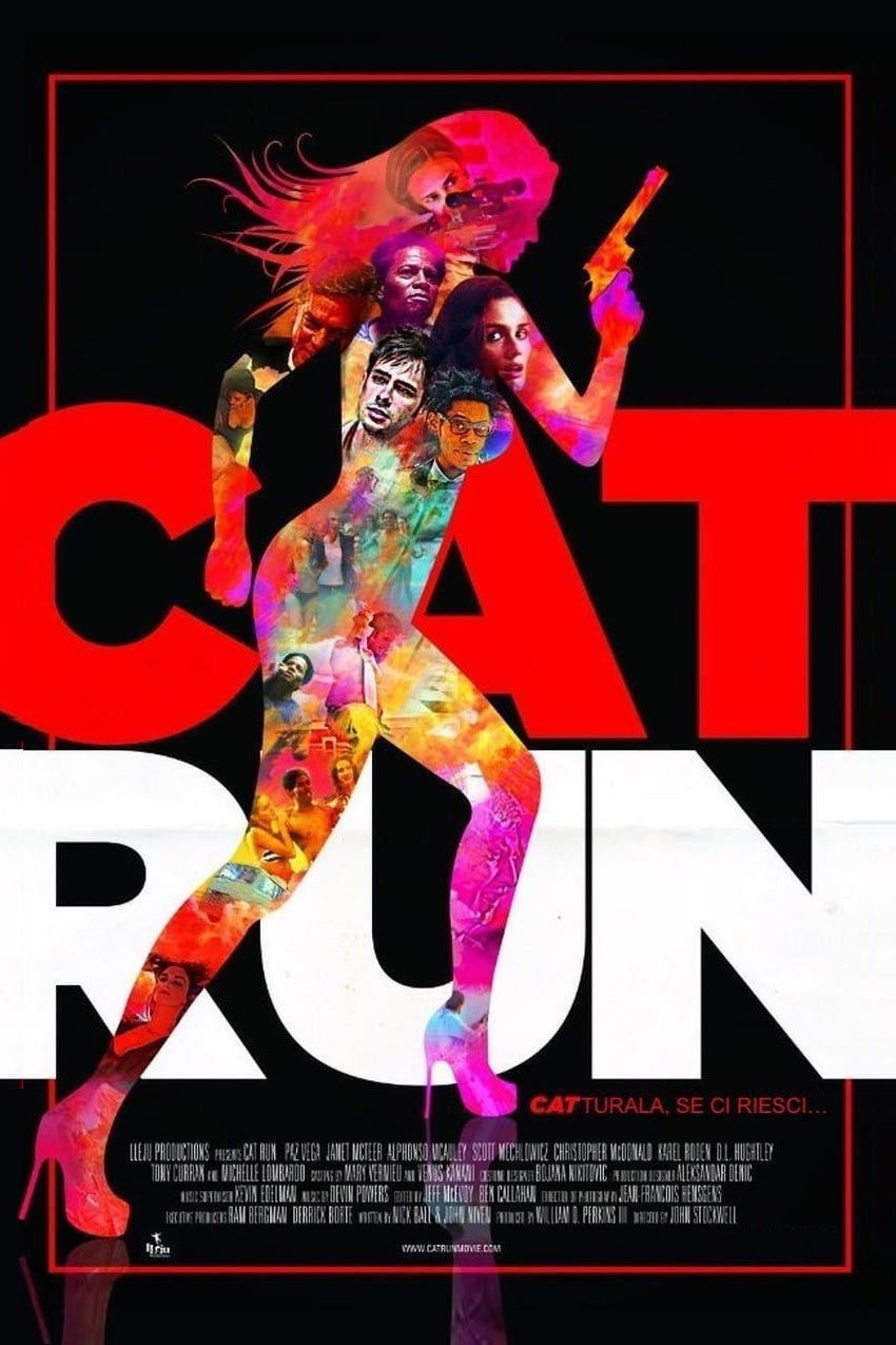 Locandina di Cat Run