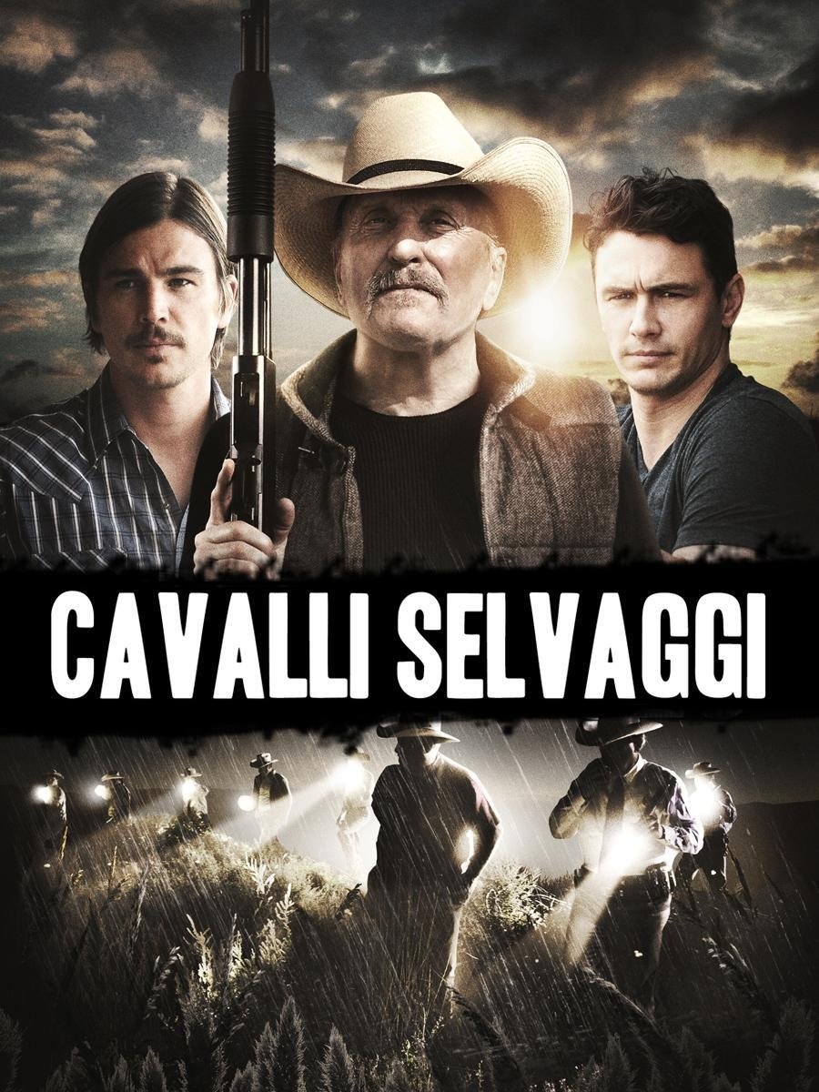 Locandina di Cavalli selvaggi