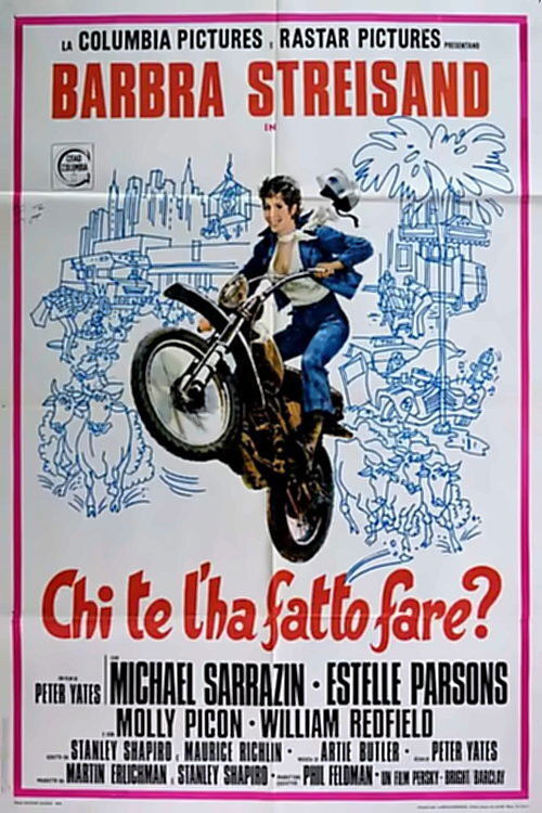 Locandina di Chi te l'ha fatto fare?