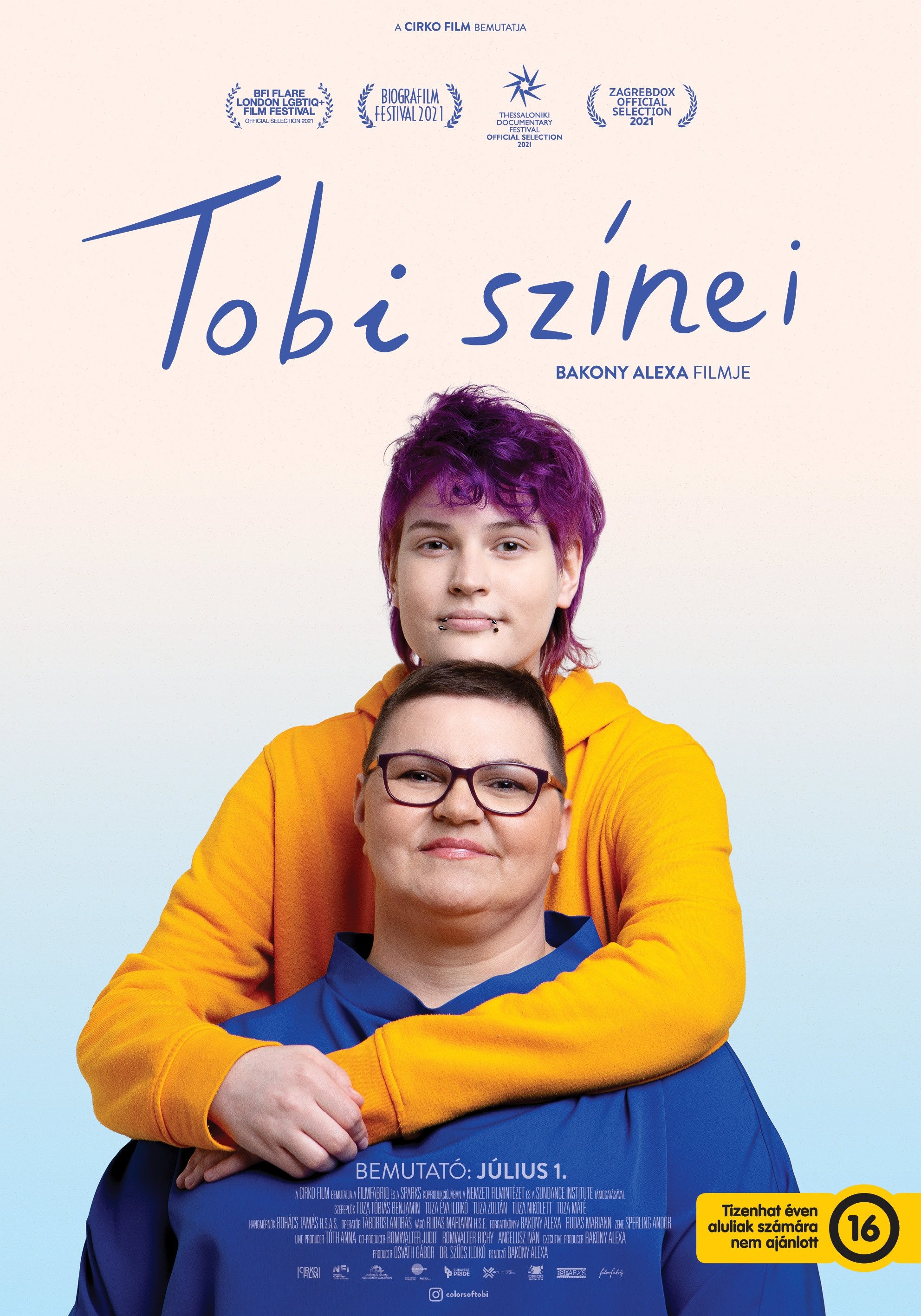 Locandina di Colors of Tobi