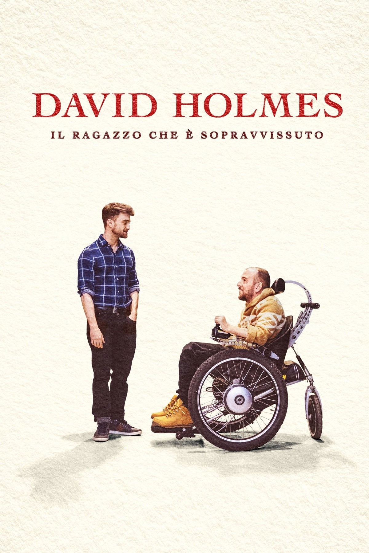 Locandina di David Holmes - Il ragazzo che è sopravvissuto
