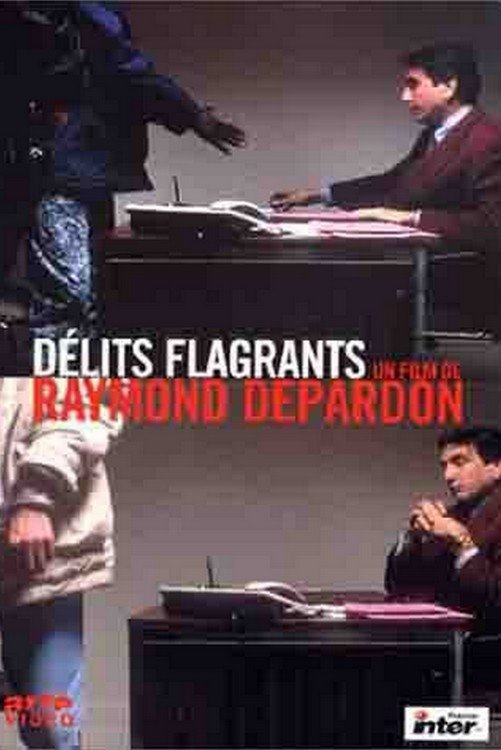 Locandina di Délits flagrants