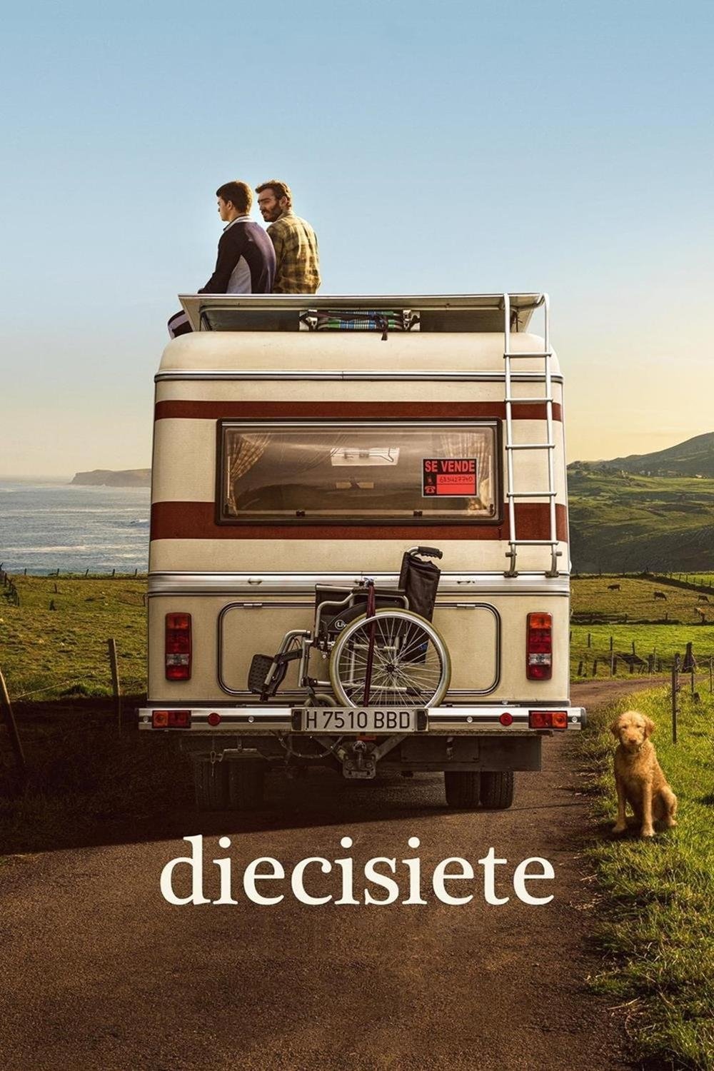 Locandina di Diciassette